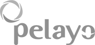 17-pelayo