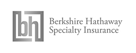 bhsi